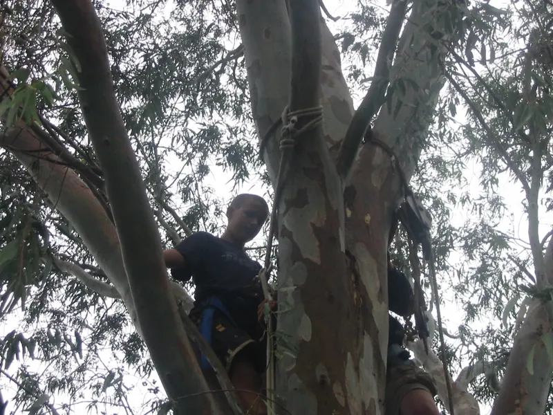 Troop Camp 2004, photo 21