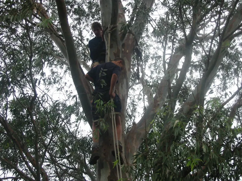 Troop Camp 2004, photo 22