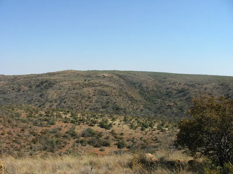 Troop Hike 2004, photo 11
