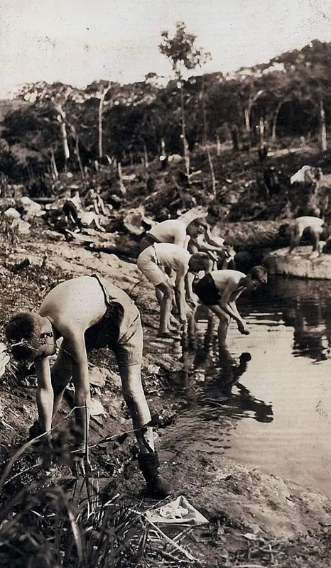 Heritage Album, photo 14