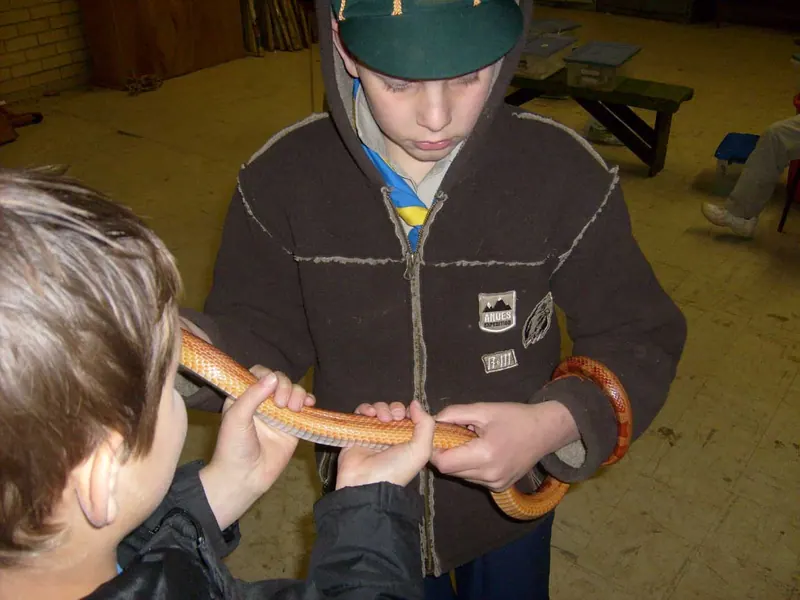 Cub's Reptile Evening, photo 5