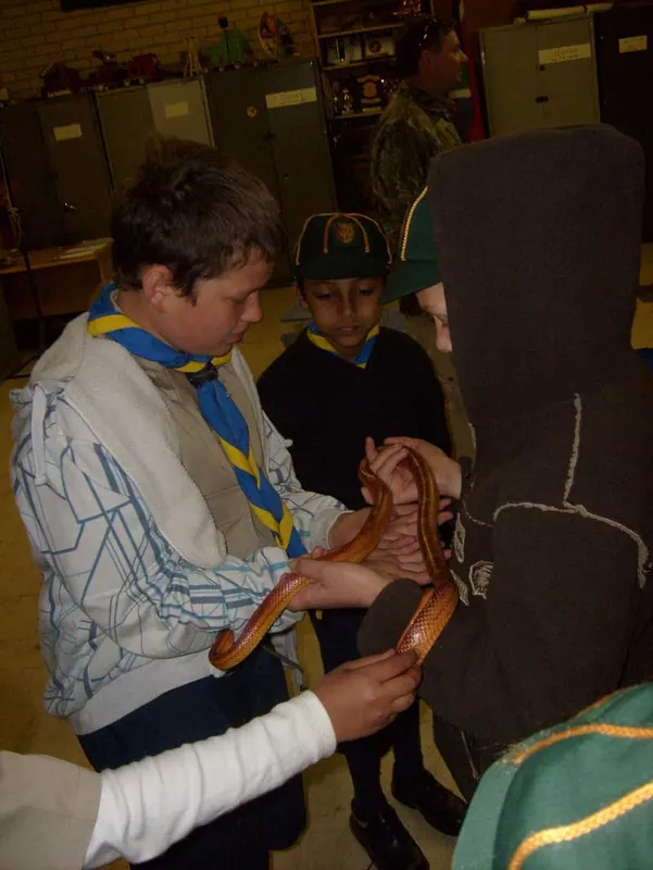 Cub's Reptile Evening, photo 10