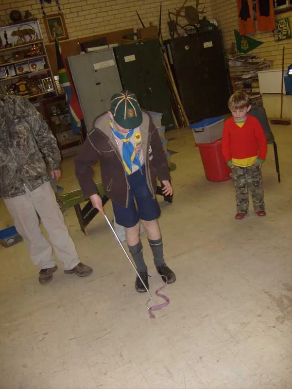 Cub's Reptile Evening, photo 19