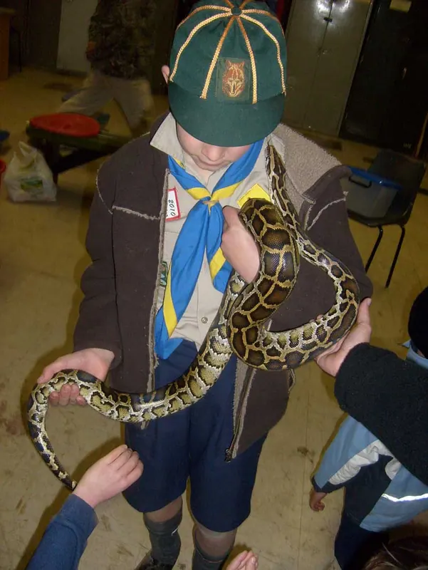 Cub's Reptile Evening, photo 21