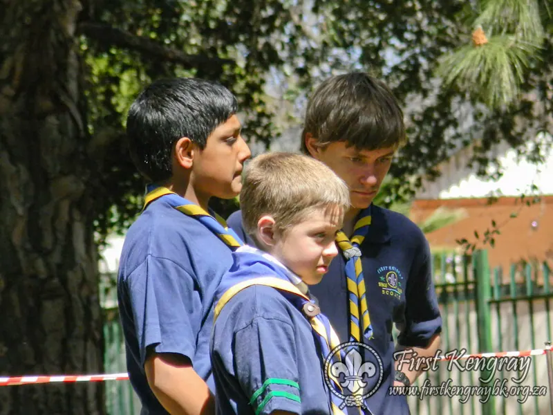 Tyron's Springbok Construction Project, photo 6