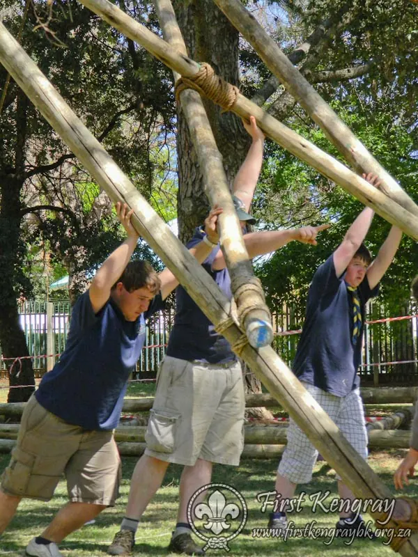 Tyron's Springbok Construction Project, photo 7
