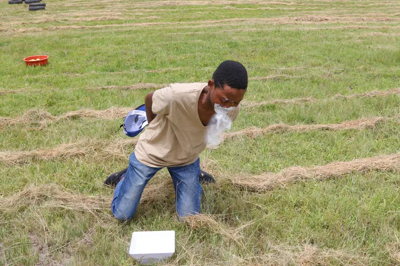 Chris' Springbok Camp, photo 33