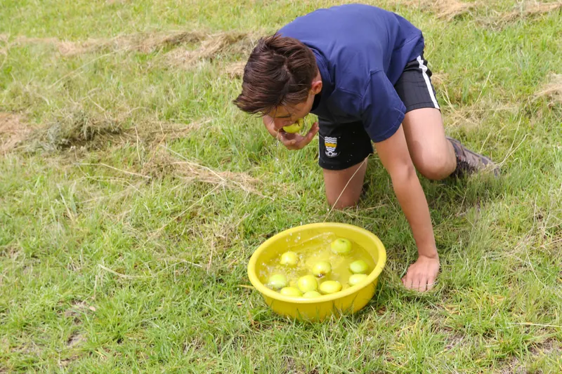 Chris' Springbok Camp, photo 42