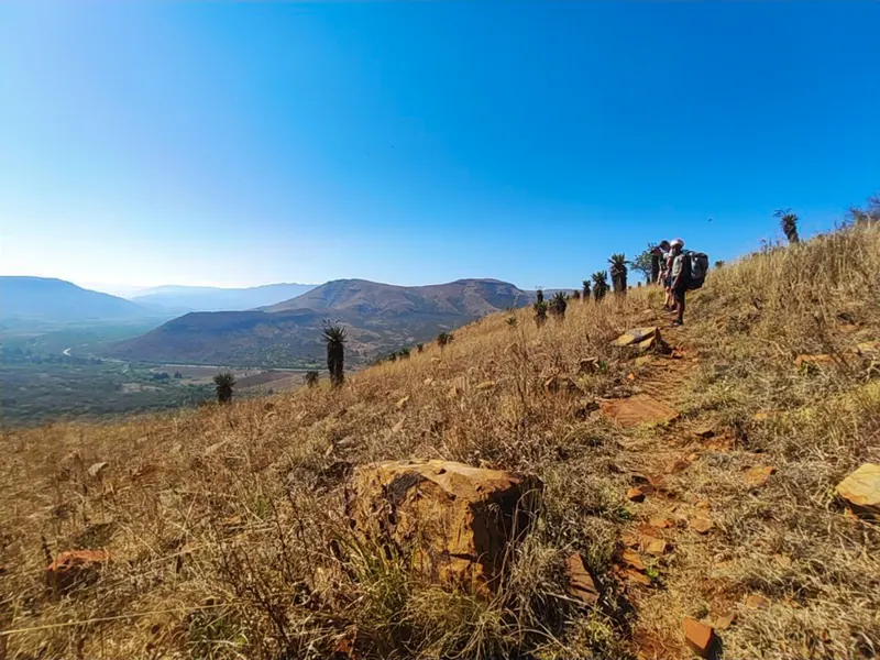 Luke's Springbok Activities, photo 4