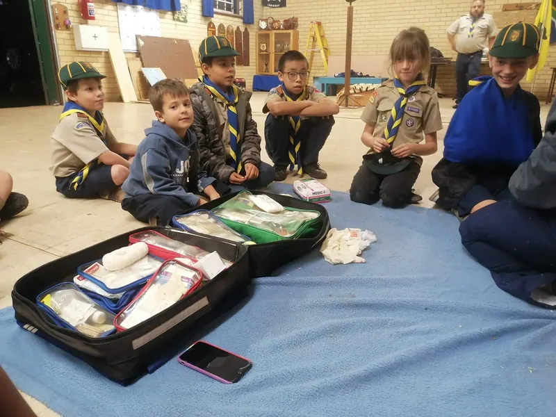 First aid for cubs, part 2, photo 1