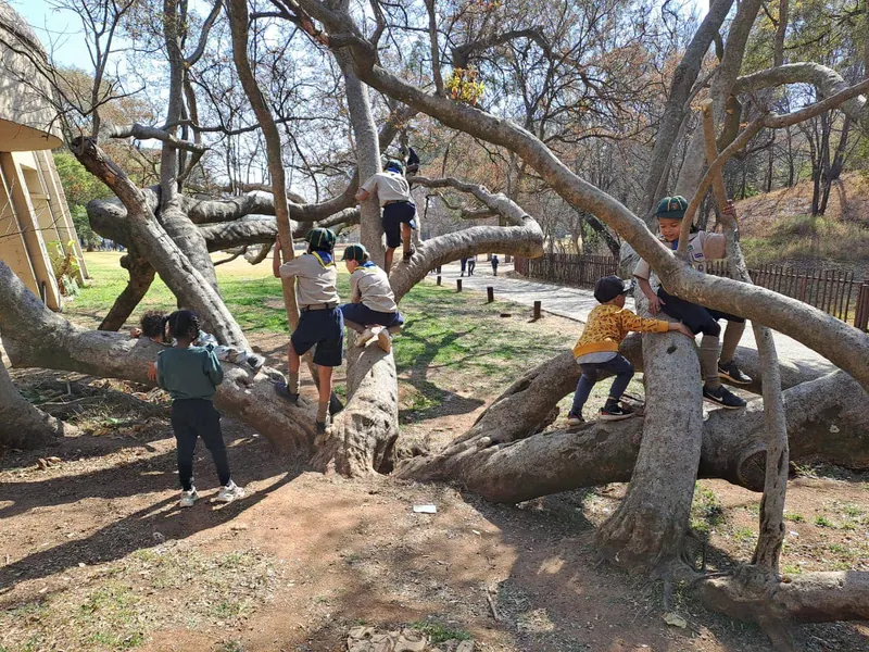 Cub Fun Day at JHB Zoo, photo 8