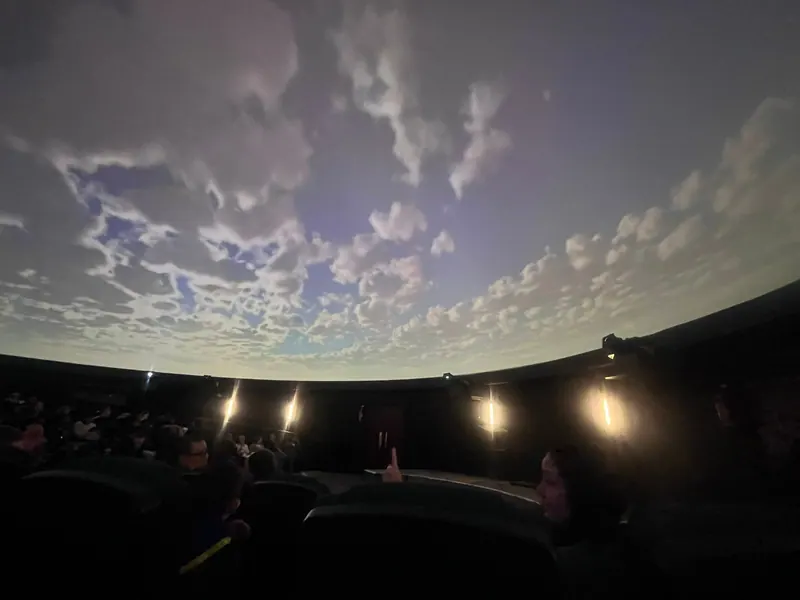 Immersive theatre outing for Kengray families, photo 5