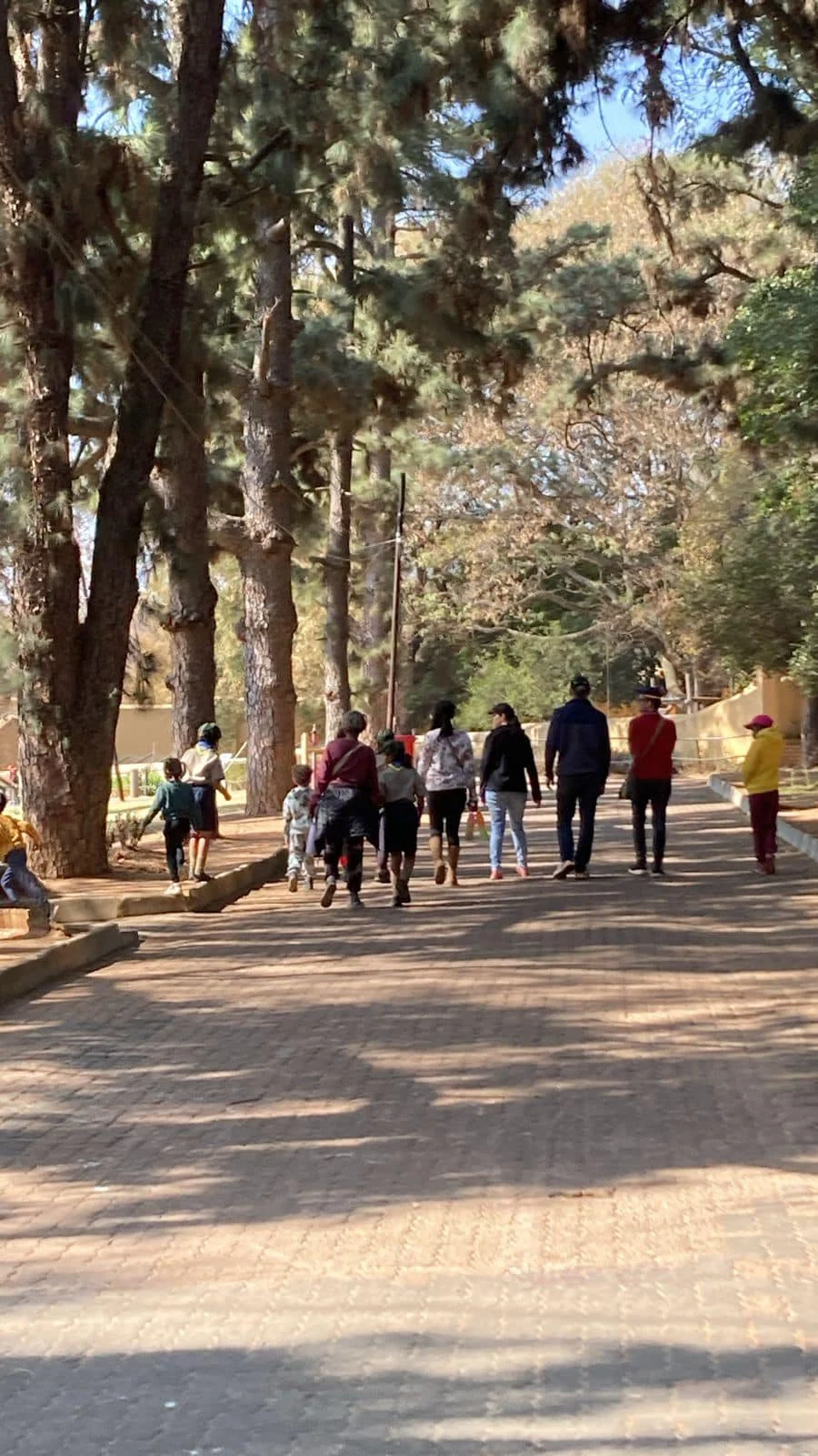 Cub Fun Day at JHB Zoo